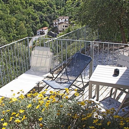 La Terrazza Con L'Ulivo - Guesthouse Con Terrazza E Vista Sul Golfo Dei Poeti La Spezia Eksteriør bilde