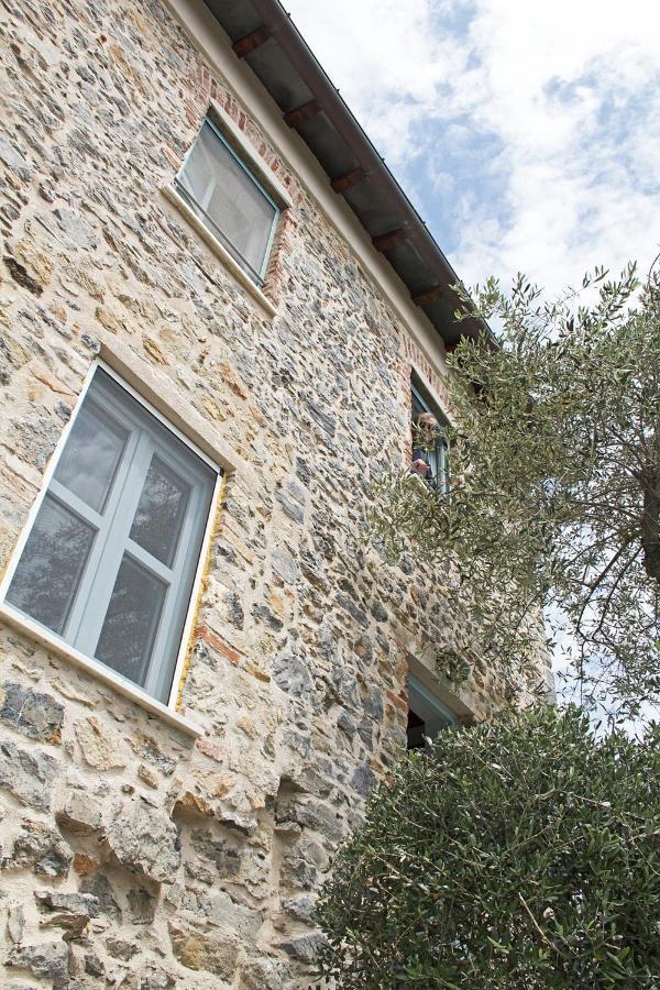La Terrazza Con L'Ulivo - Guesthouse Con Terrazza E Vista Sul Golfo Dei Poeti La Spezia Eksteriør bilde